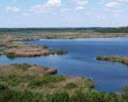 The park consisted of Lake Srebarna which provides The park consisted of Lake Srebarna which provides water and wetland area which is preferred by numerous migrating birds to nest and various endangere